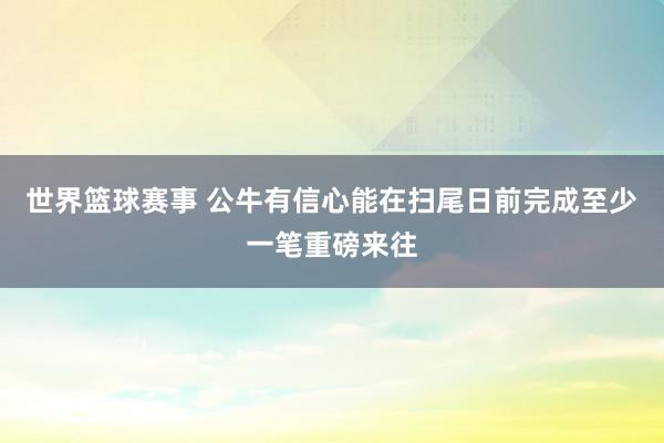 世界篮球赛事 公牛有信心能在扫尾日前完成至少一笔重磅来往