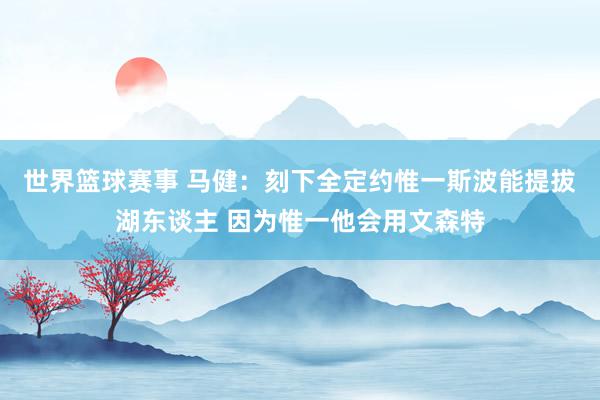 世界篮球赛事 马健：刻下全定约惟一斯波能提拔湖东谈主 因为惟一他会用文森特