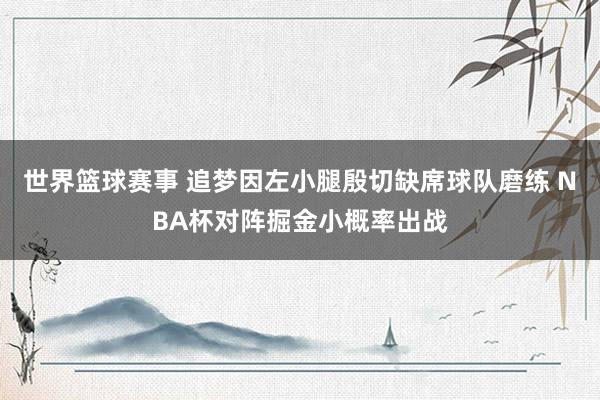 世界篮球赛事 追梦因左小腿殷切缺席球队磨练 NBA杯对阵掘金小概率出战