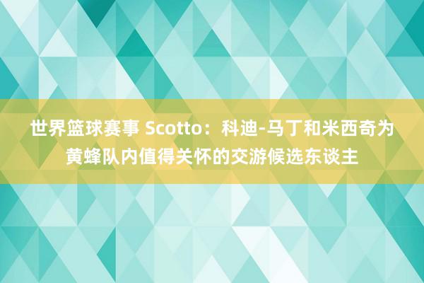 世界篮球赛事 Scotto：科迪-马丁和米西奇为黄蜂队内值得关怀的交游候选东谈主